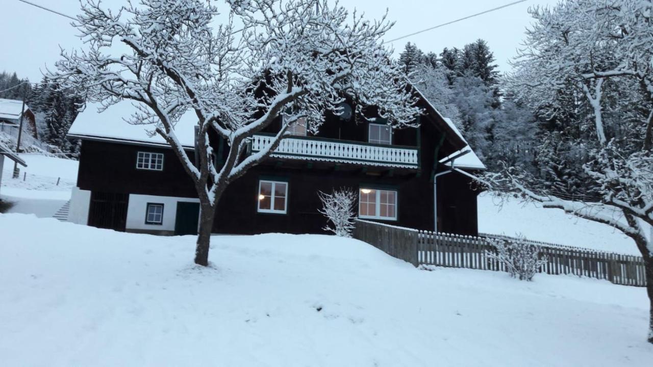 Ferienhutte Antonia — hotel in Bad Sankt Leonhard Im Lavanttal