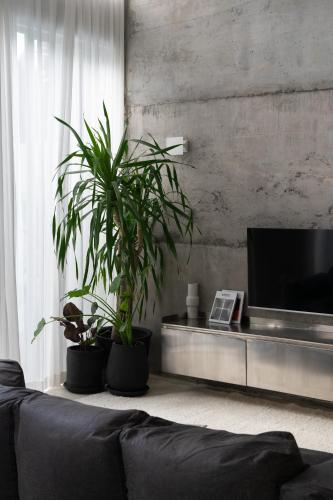 Sojourn in Canggu, Indonesia