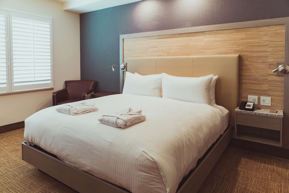 Tailwater Lodge Altmar Tapestry Collection by Hilton - photo 17