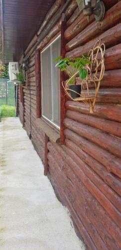 Cabana Beea in Dubova, Romania