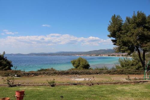 Miranta — Nikiti — photo 3