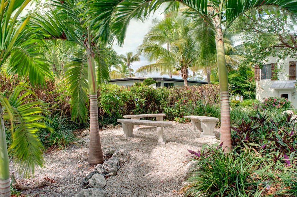 Coconut Palm Inn - photo 54