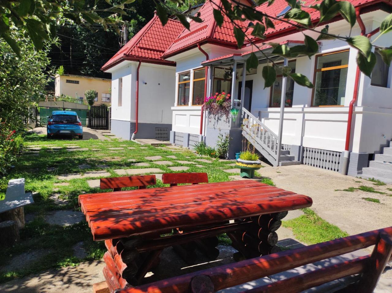 Little Bear Busteni in Busteni, Romania
