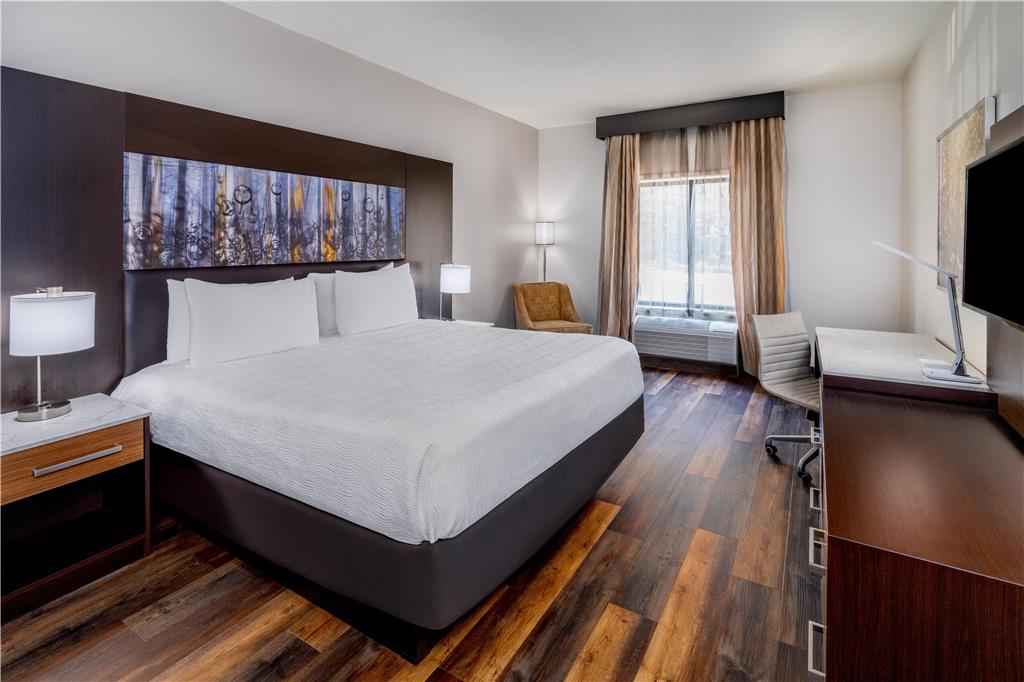Aiden by Best Western Warm Springs Hotel and Event Center - photo 27