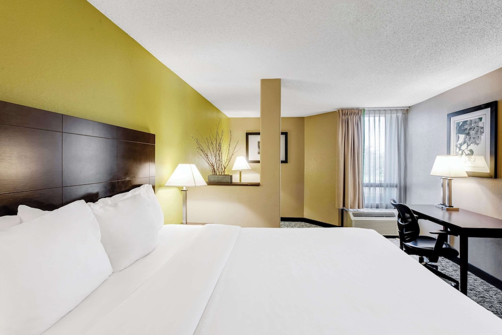 Clarion Inn Asheville Airport - photo 12