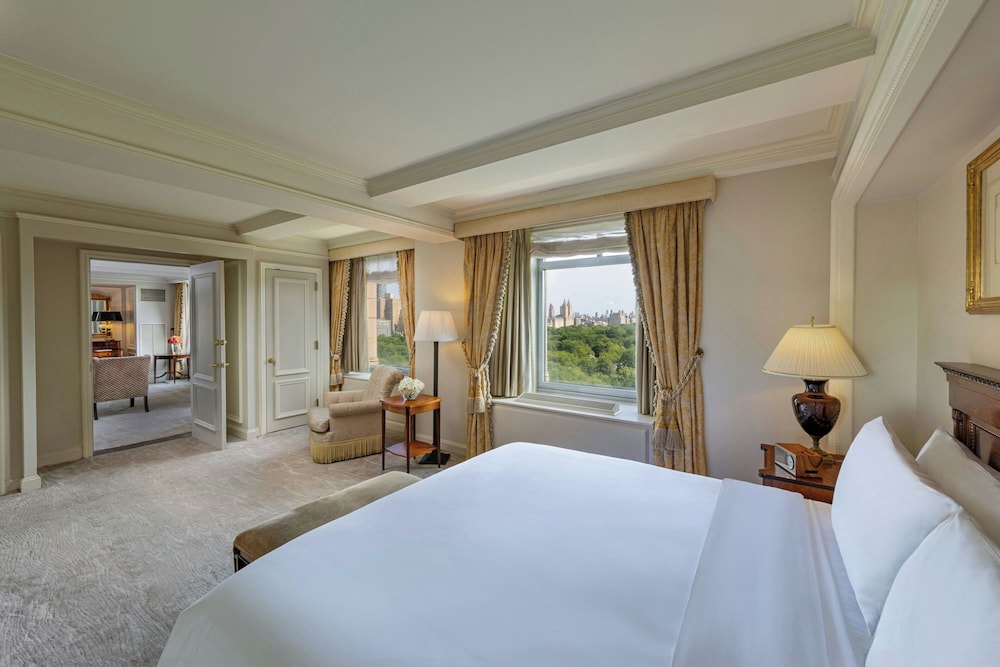 The Ritz Carlton New York Central Park - photo 58