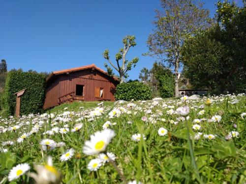 Rincón de Sira - carbon neutral hotel in Cee