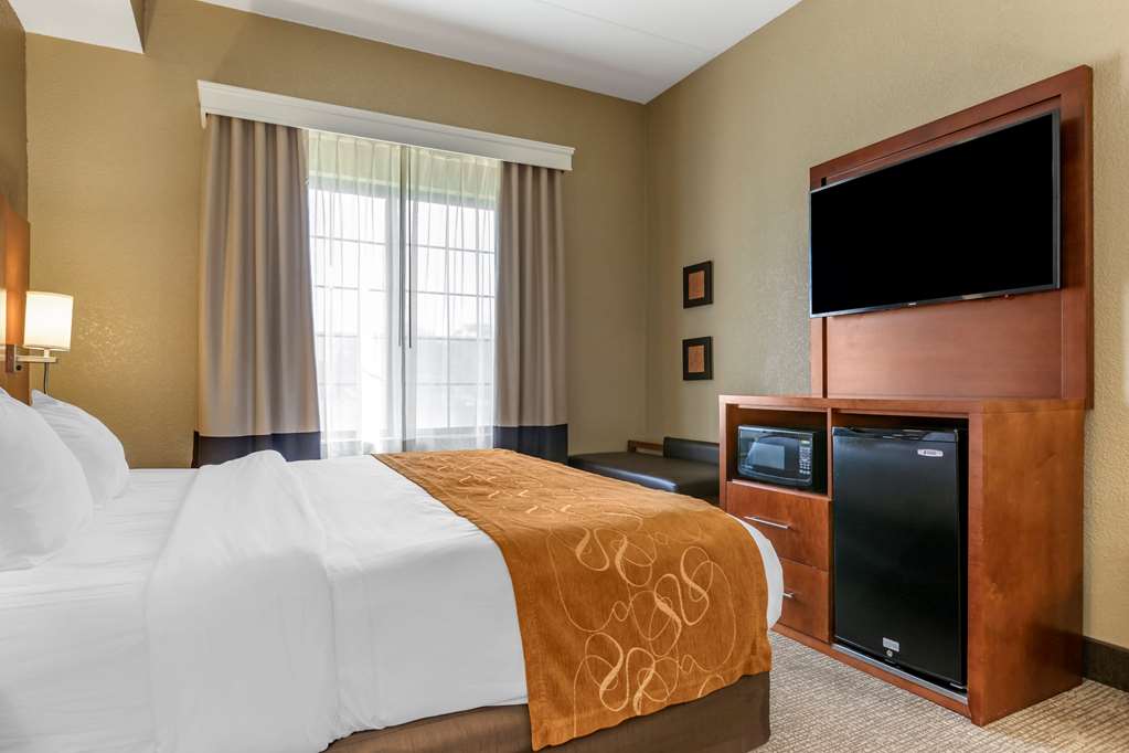 Comfort Suites Grand Rapids South - photo 16