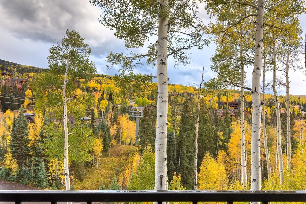 Aspen Ridge 3 In Mountain Village - photo 28