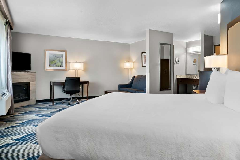 Best Western Plus Flint Airport Inn & Suites - photo 29