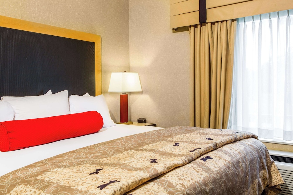Cambria Hotel Raleigh Durham Airport - photo 6