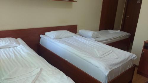 Willa Marina Widzew in Lodz, Poland