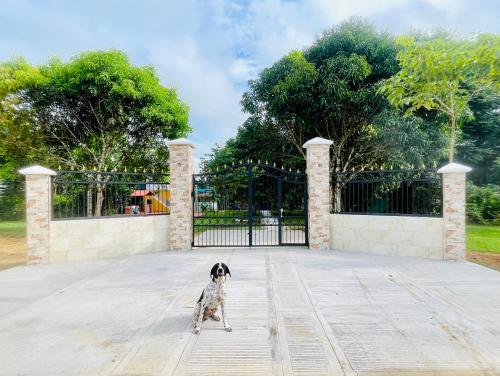 Alojamiento campestre San Miguel — hotel in San Jose Del Guaviare