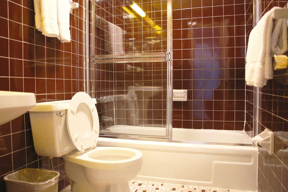 World Vacation Hotel - photo 16