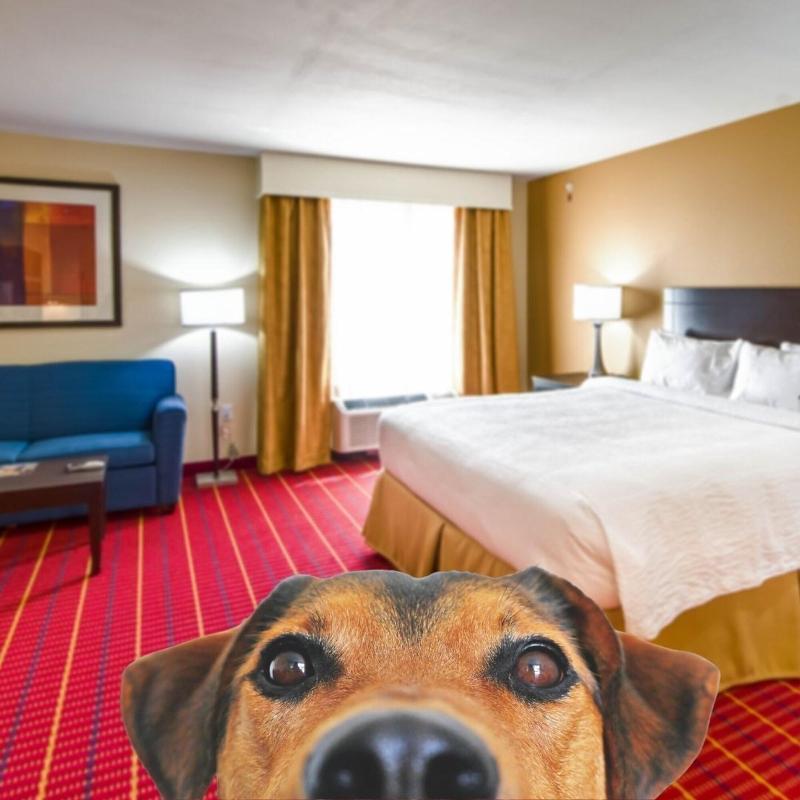 TownePlace Suites El Paso Airport - photo 42