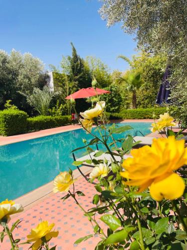 Villa MSHolidays 3 palmiers avec piscine marrakech — 4-Star Luxury Hotel in Marrakesh, Morocco