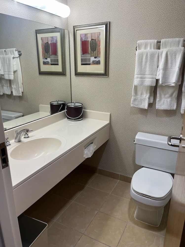 Oak Ridge Hotel and Conference Center - photo 18