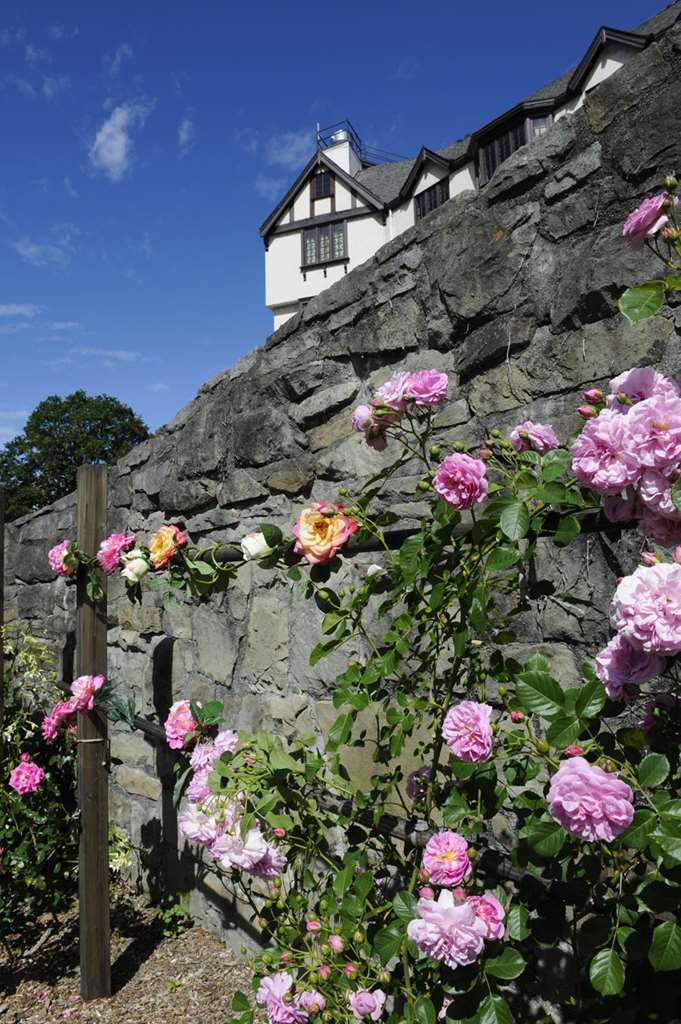 Benbow Historic Inn - photo 42