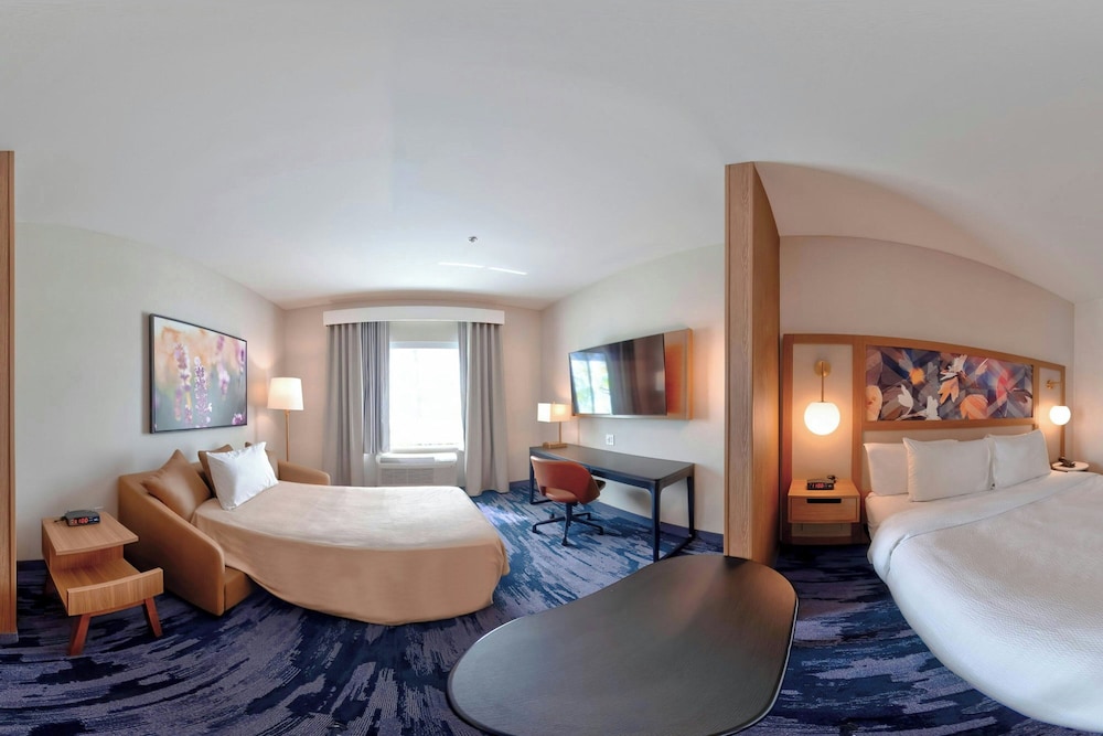 Fairfield Inn & Suites by Marriott St. Paul Eagan - photo 197