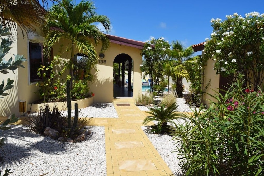 Caribbean Wave in Noord, Aruba