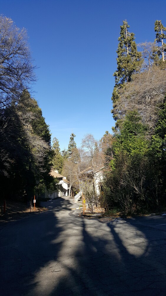 Lake Arrowhead Chalets a VRI resort - photo 27