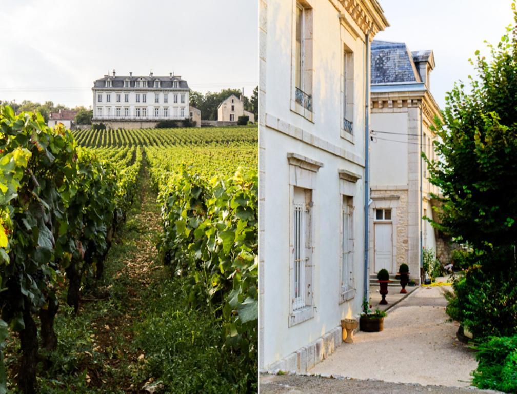 Gites Chateau Comblanchien — hotel in Nuits-Saint-Georges