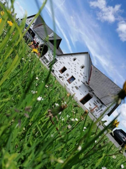Ferienhaus Goanbau Schoneben — hotel in Liebenau