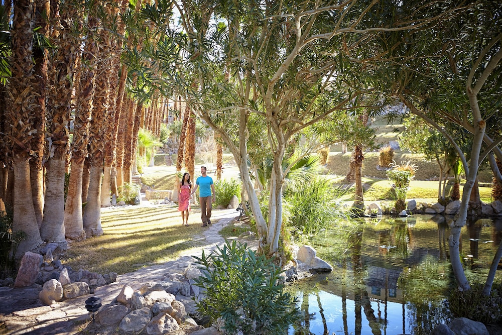 The Inn at Death Valley Inside the Park - photo 49