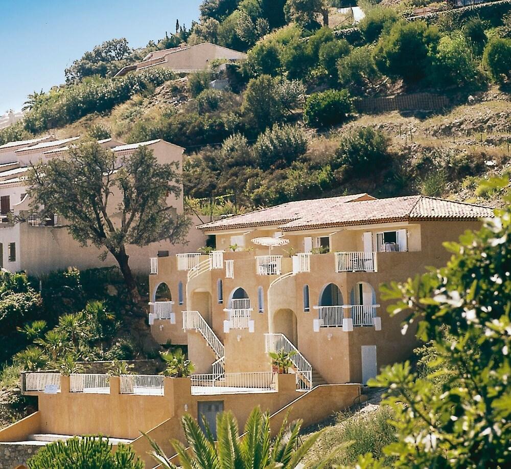 Hydra in Le Lavandou, France
