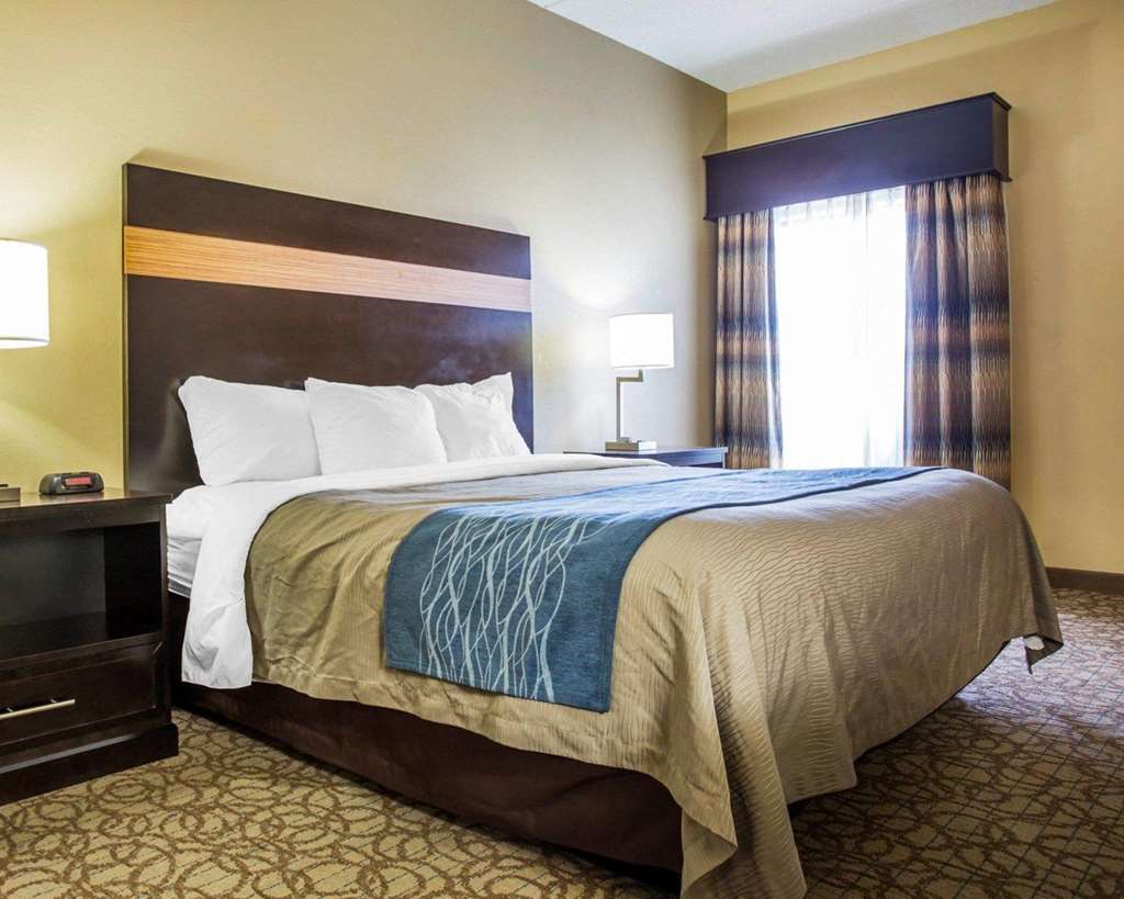 Comfort Inn & Suites at Stone Mountain - photo 17