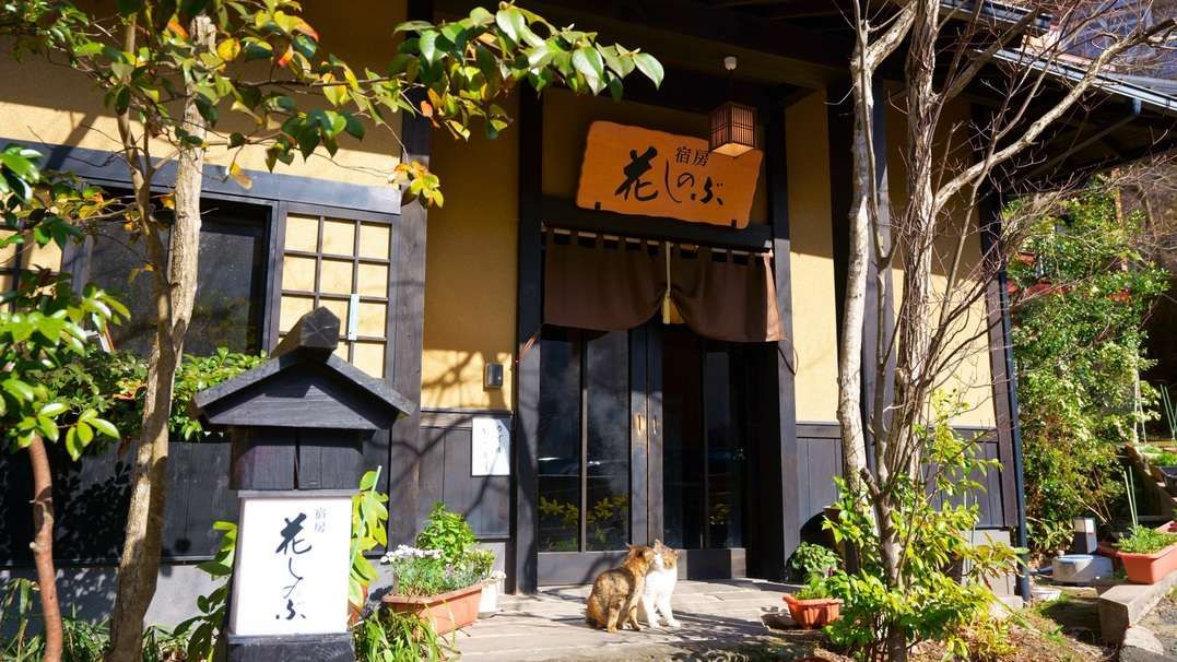 Hanashinobu — Unknown City — photo 3