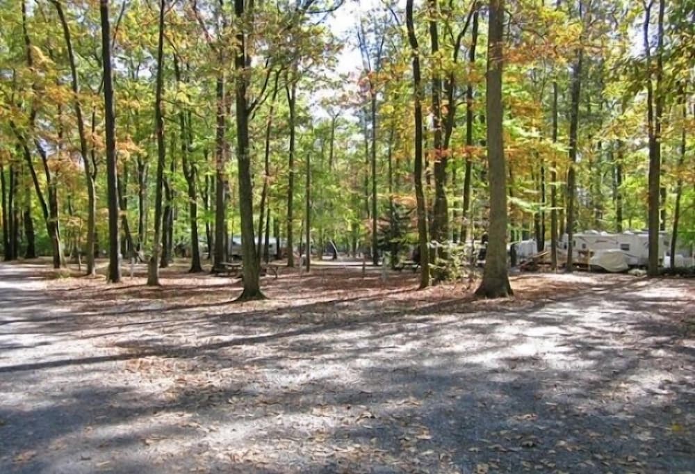 Appalachian Campsites - photo 76