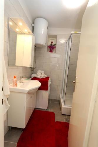 Apartment Mira Lapad