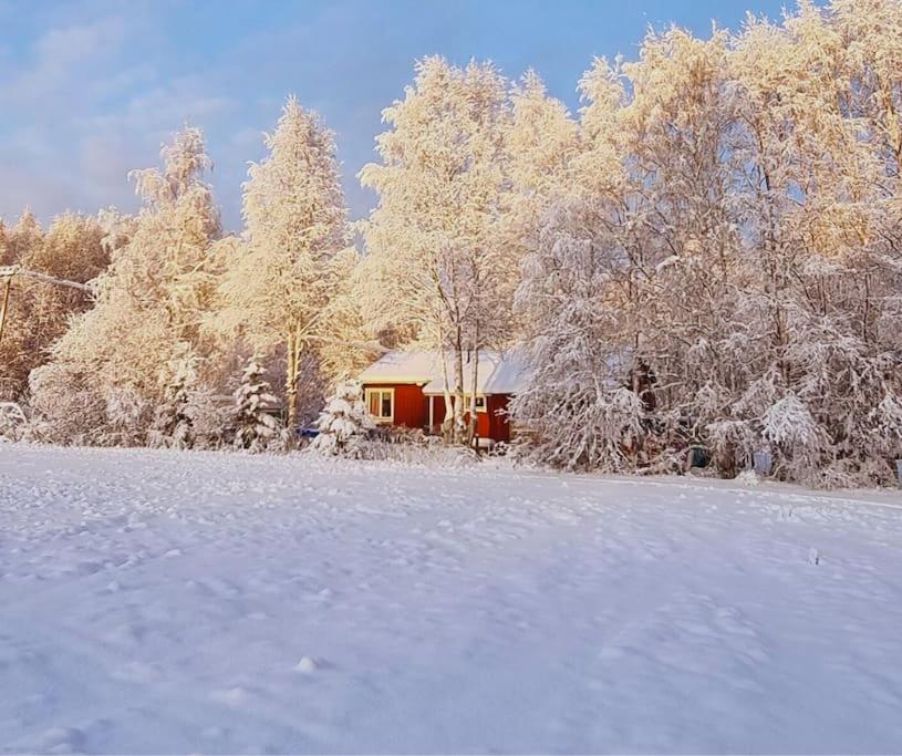 Ferienhaus im schönem historischem Ångermanland in Unknown City, Sweden