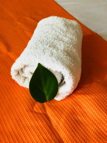 Duerme tranquilo in Alajuela, Costa Rica