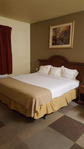 Reddy Hotel - photo 8
