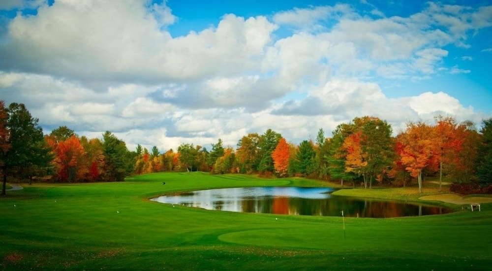 The Loon - photo 30