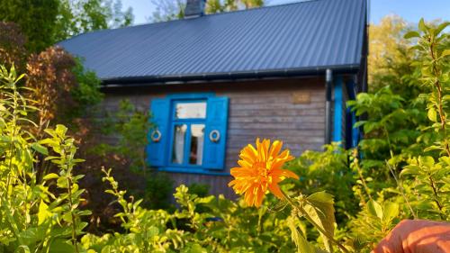 Wakacyjny Dom Letni pet-friendly hotel Ostrowek