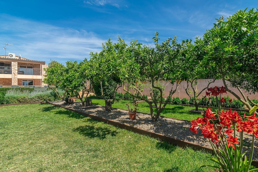 Finca Castillo in Mallorca — Manacor — photo 3