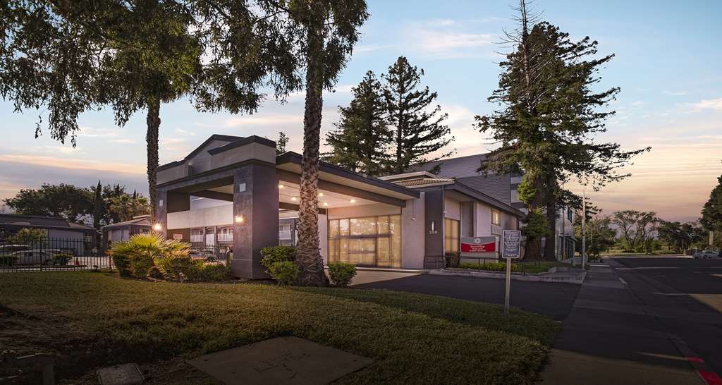 SureStay Plus Hotel by Best Western Sacramento North - photo 2