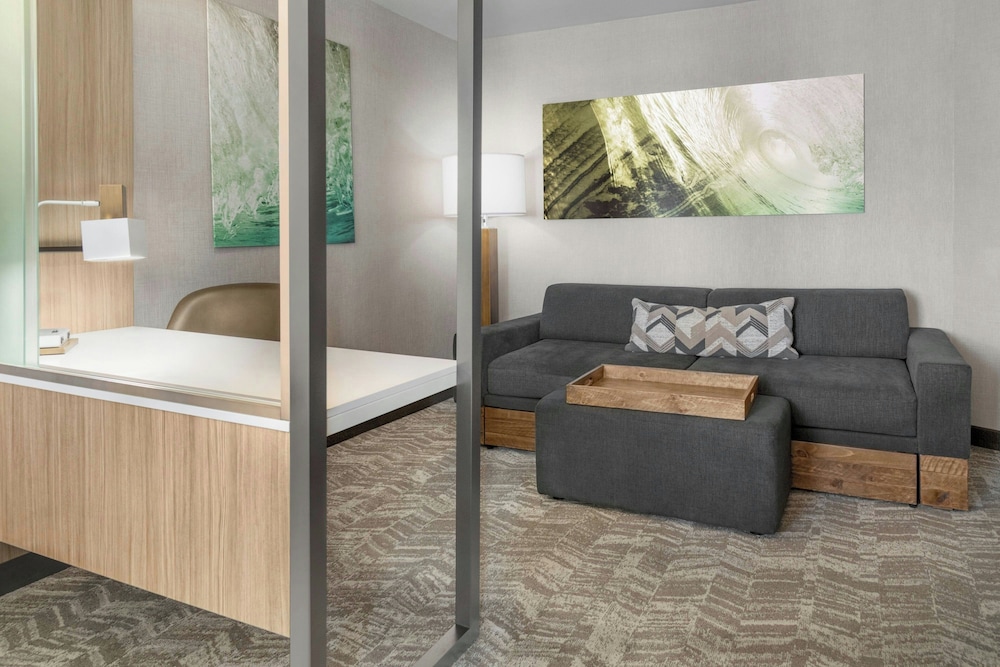 SpringHill Suites by Marriott Holland - photo 10