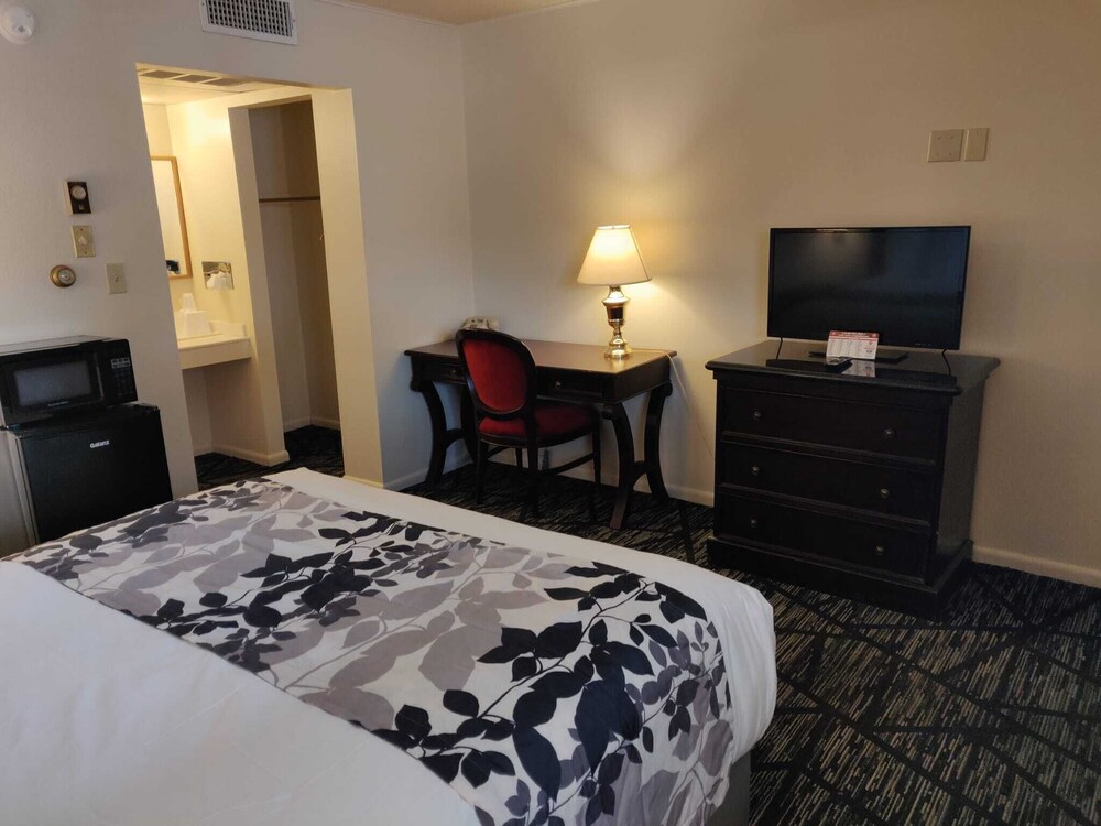 Skyline Motor Inn - photo 6