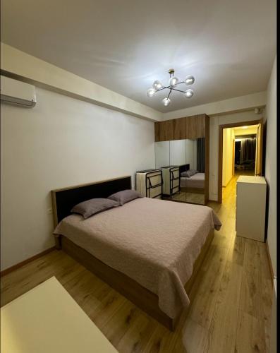 Luxury Apartment Aspindza 13