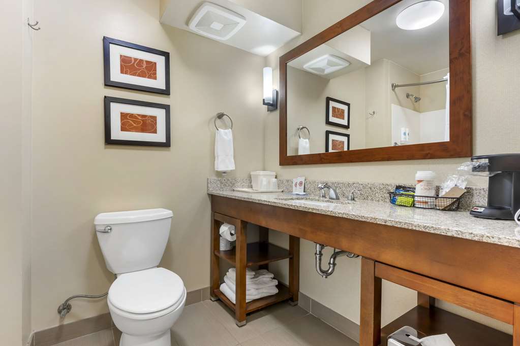 Comfort Suites Redding Shasta Lake - photo 8