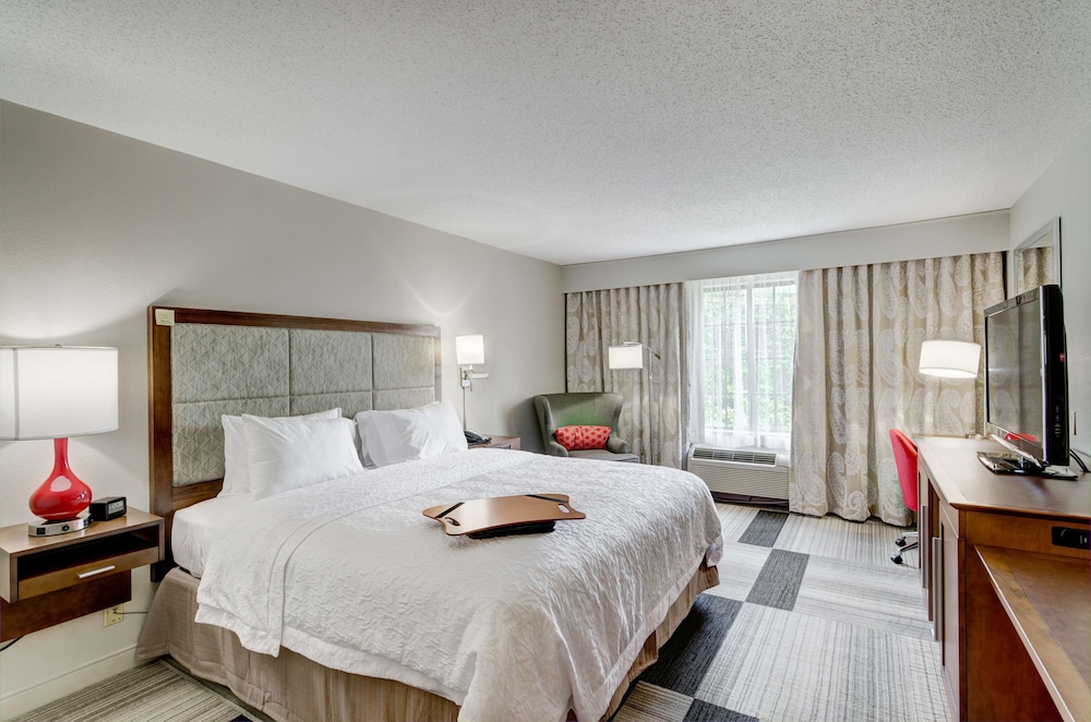 Hampton Inn Salem VA - photo 19