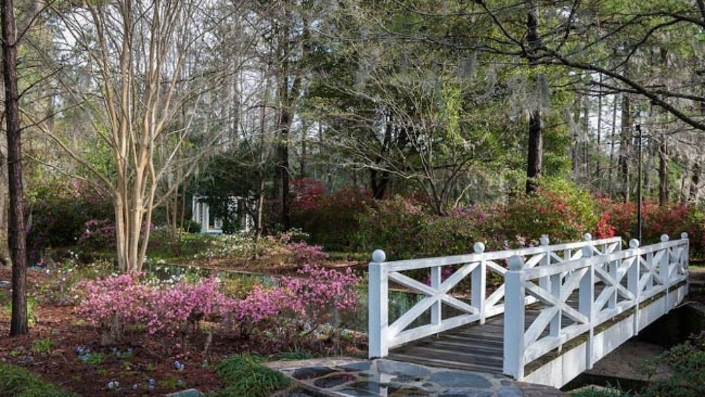 avid hotel Summerville by IHG - photo 47
