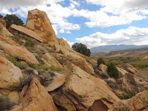 Canyon Of The Ancients Guest Ranch - photo 44