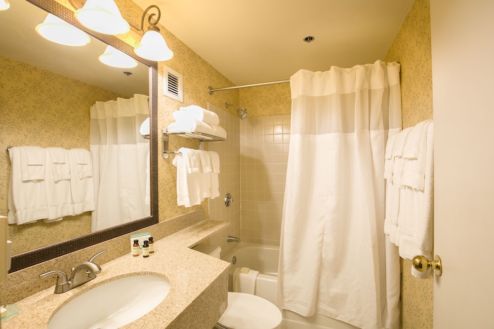 Sugarloaf Mountain Hotel - photo 19