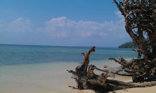 Pellicon Beach Resorts - last minute hotel in Unknown City