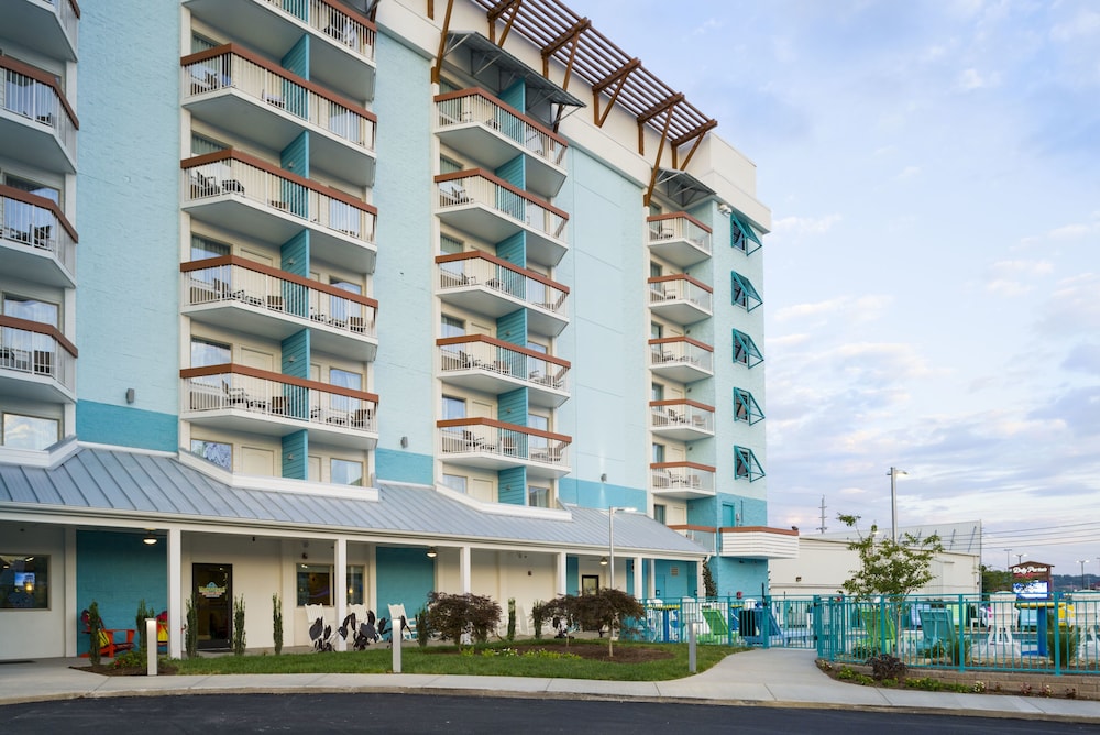 Margaritaville Island Inn - photo 34